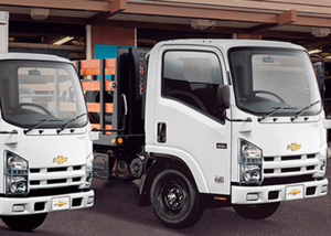 Combo Parcial Camión liviano